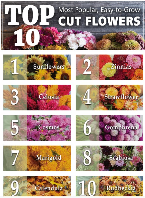 top 10 cut flowers - side hustle ideas